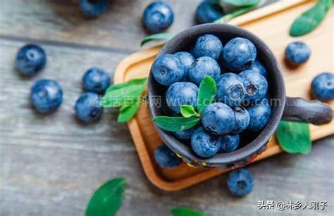 蓝莓怎么洗才干净，淘米水浸泡／用盐水浸泡（5小妙招）优质