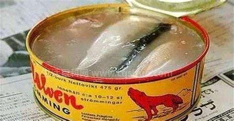 鲱鱼罐头为什么这么臭，主要制作方式