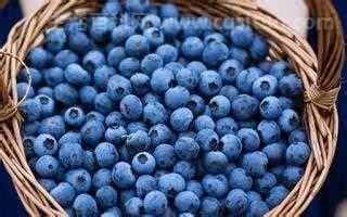 每天坚持吃蓝莓一年后，提高记忆能力3个好处优质