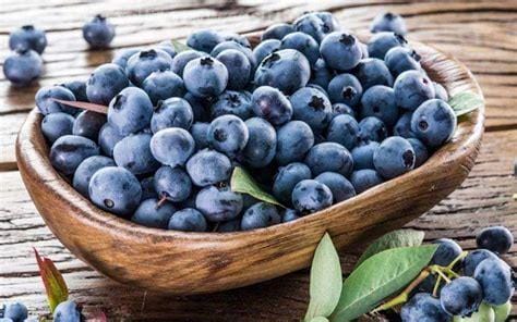 女性吃蓝莓的6个好处，抗衰老/保护眼睛/有益心脏健康优质