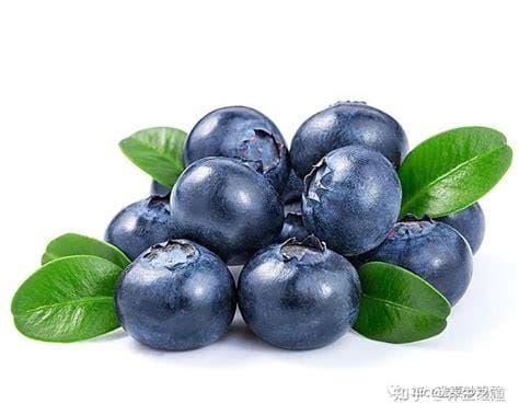 女人吃蓝莓有什么功效作用，有效的改善皮肤优质