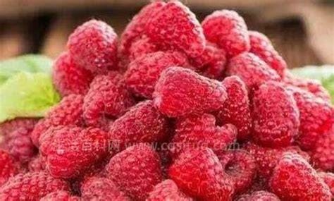 女人吃树莓的功效与作用，美容养颜还增强免疫力优质