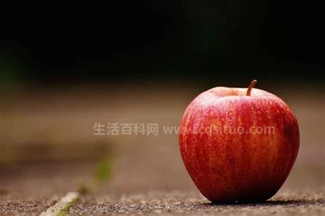 每天吃一个苹果坚持1年，预防骨质疏