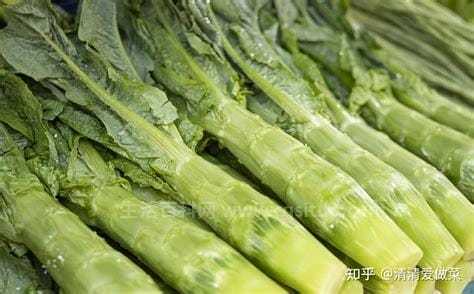 赶快停止吃这3种蔬菜，分别是蕨菜/红凤菜/西葫芦优质