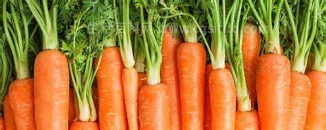 胡萝卜热量高吗减肥能吃吗，含有41千卡的热量优质