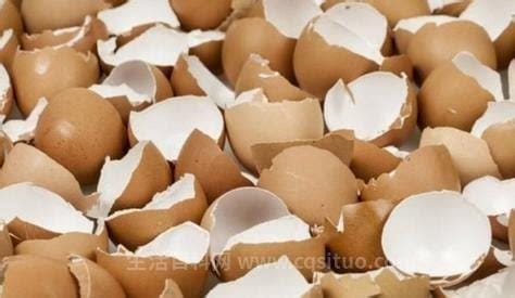 鸡蛋壳是什么垃圾，属于有机垃圾优质