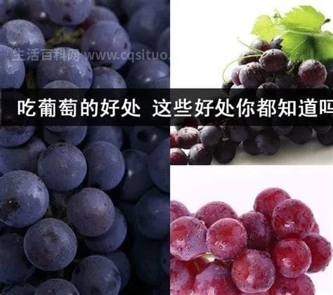 坚持吃一个月葡萄有什么效果，能补虚开胃/降低胆固醇水平优质