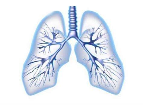 肺部结节最怕三个征兆，分别是持续性咳嗽/呼吸困难/胸痛优质