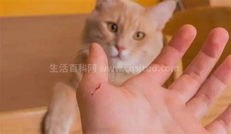 猫抓伤最轻图片用不用打狂犬疫苗，没