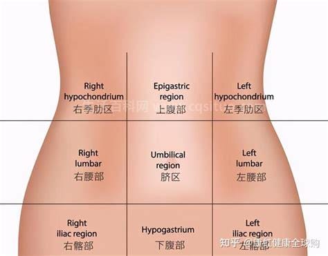 左边上腹部隐隐作痛是什么原因，是胃