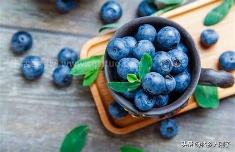 蓝莓怎么洗才干净之后直接带皮吃吗，能但推荐盐水泡优质