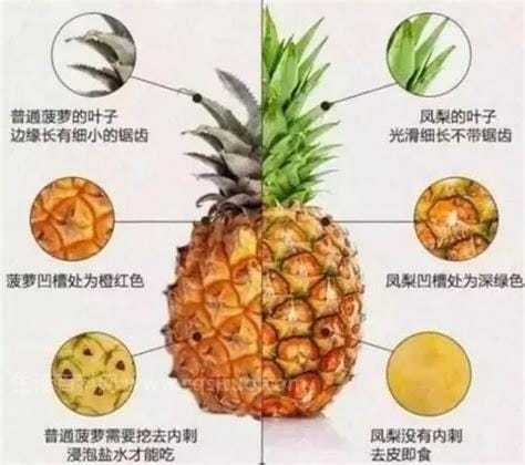 菠萝和凤梨是同一种水果吗，不是同一