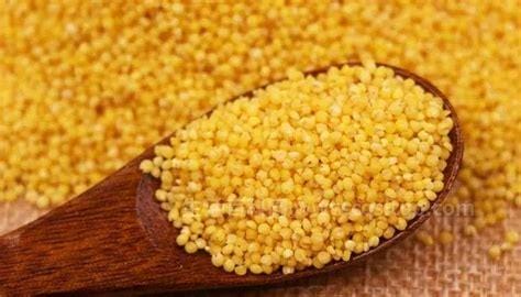 黄小米与小米区别，外型不一样4个不同优质