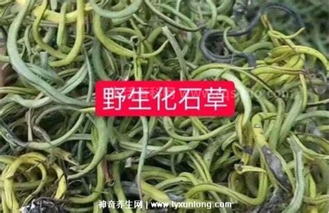 男人喝化石草壮阳吗，有但效果一般般优质