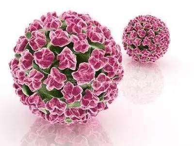 hpv病毒最可怕的5个型号，分别是HPV1