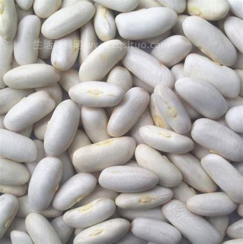 白芸豆提取物减肥副作用曝光优质