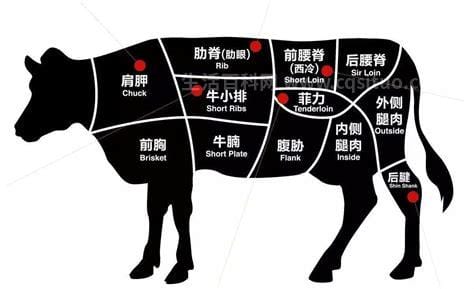 肉眼牛排是牛的哪个部位，它位于牛的