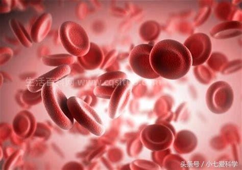 o型血为什么叫贵族血，并不是一个罕见的血型优质