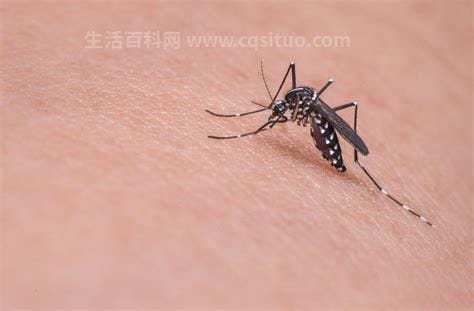 6类人最受蚊子偏爱，体温高、呼出二氧化碳多的人优质