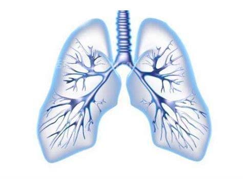 肺部结节最怕三个征兆，结节大小／结节