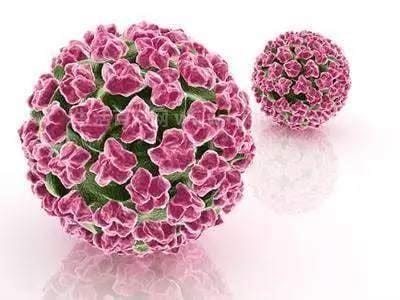HPV最可怕的5个型号，HPV 16、18、52