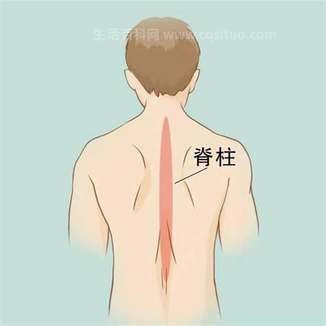 后背疼痛图片位置示意图及病情对照