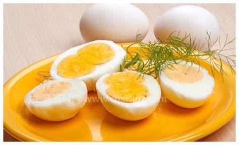每天吃一个水煮鸡蛋的好处，鸡蛋健脑