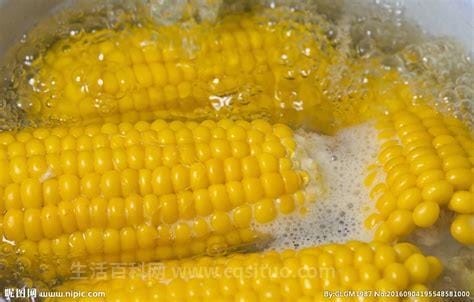 玉米水煮 vs 蒸玉米,吃玉米会上火吗优质