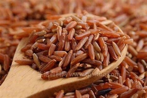 胭脂稻多少钱一斤什么是胭脂稻，每斤高达4000元,红色水稻的品种优质