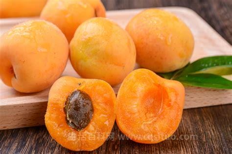 杏子是☢热性还是凉性的，属于温性,温热性水果优质