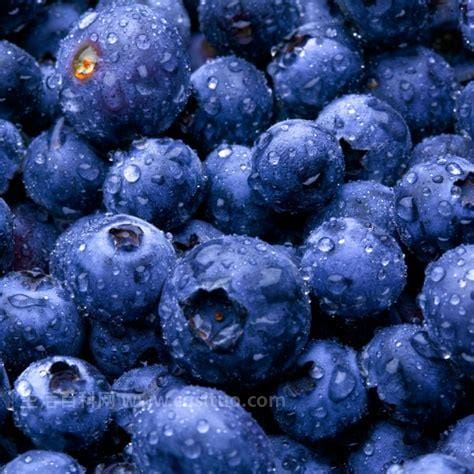 坚持吃蓝莓一个月变化，美容养颜和提高记忆力,蓝莓对更年期女性的好处优质