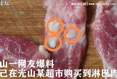 为什么淋巴猪肉不能吃，血脖肉去除☻