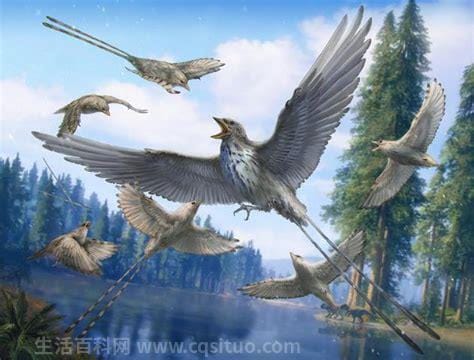 亿年前凶猛古鸟类 远古十大最凶猛的鸟类