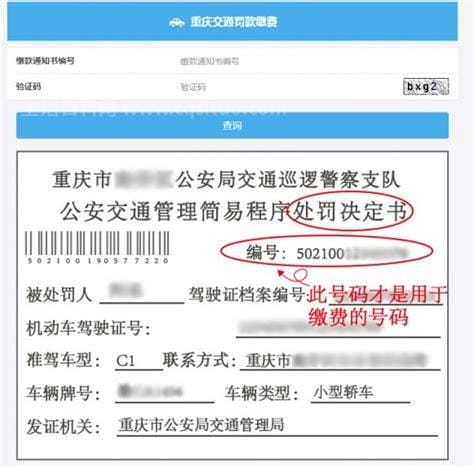 重庆交通信息违章查询（重庆交通信息网违章查询 ）