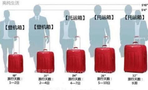 坐飞机可以带多少行李 一大一小坐
