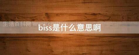 BISS是什么意思啊 biss是什么缩写