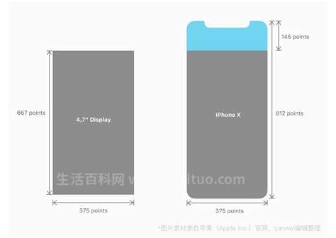 iphonex屏幕尺寸详解,iphonex屏幕