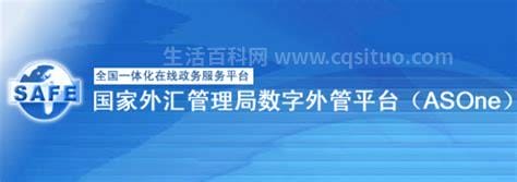 外管局数字外管平台是24小时 国家