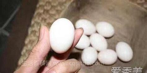 鸽子蛋的最佳吃法，鸽子蛋怎么吃最营养