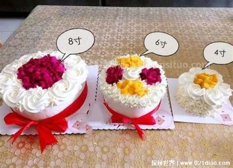 常规的生日蛋糕尺寸是多少(一般生日蛋糕都是选多少寸的)