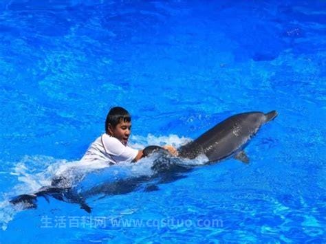 海豚救人的事迹，海豚为什么与人类亲近