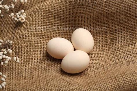鸡蛋分公母的最佳方法，公鸡蛋和母鸡