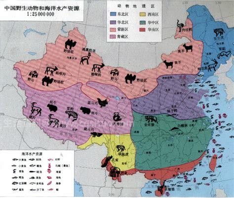 山东省地图像什么动物，山东什么动物最出名 山东珍稀动物介绍