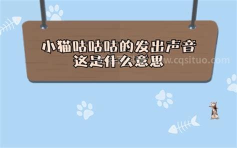 猫咪咕咕咕是什么意思