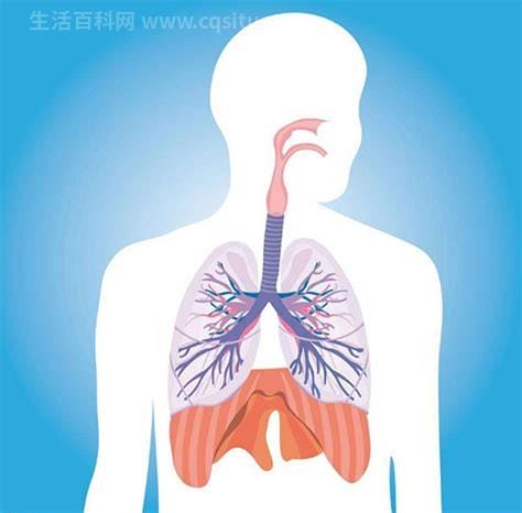 呼吸内科和呼吸科的区别是什么