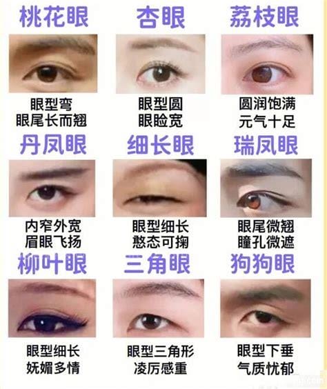 男女二十种眼形大全图解,对于人类来说，单眼皮和双眼皮哪个进化程度