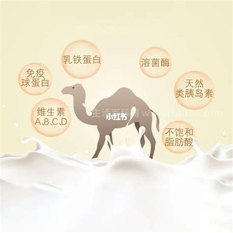 骆驼奶的功效和作用和禁忌