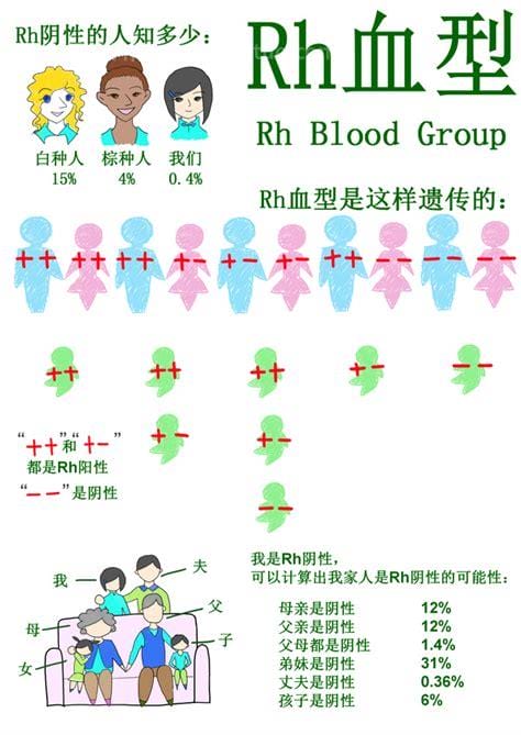 rh阴性血是哪种血型