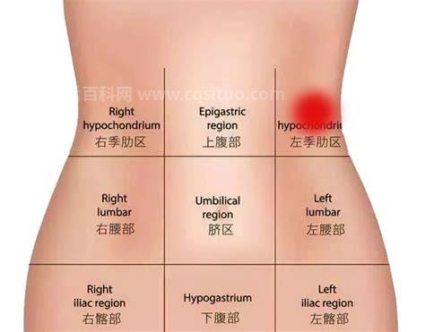 肚子右下方疼是怎么回事