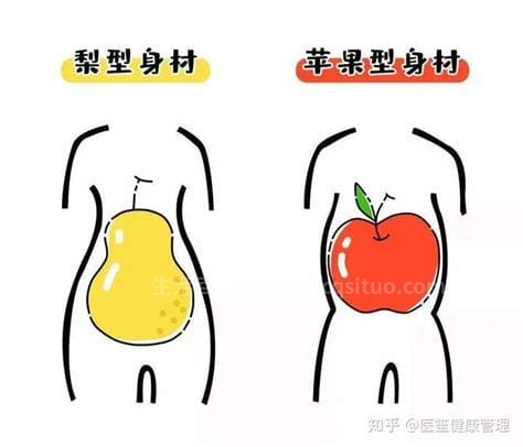十种公认最有效的减肥方法,苹果型